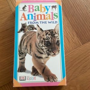 Baby Animals From The Wild